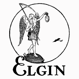 Elgin logo
